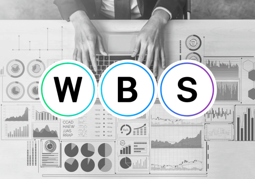 WBS (Work Breakdown Structure) per ottimizzare la gestione dei progetti complessi. Una guida pratica.